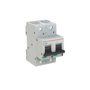 INTERRUTTORE AEG SERIE E880+  2P C 100A 50kA