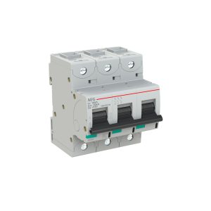 INTERRUTTORE AEG SERIE E880+  3P D 100A 50kA