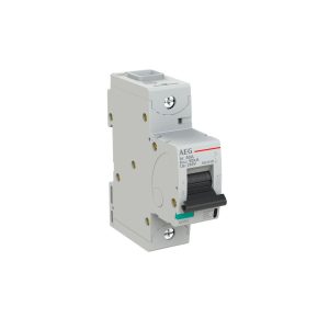INTERRUTTORE AEG SERIE E880+  1P D 80A 50kA