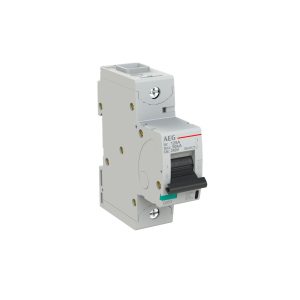 INTERRUTTORE AEG SERIE E880+  1P C 125A 50kA